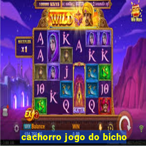 cachorro jogo do bicho